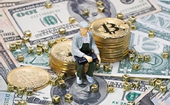 2025年数字经济发展专项资金项目开始申报